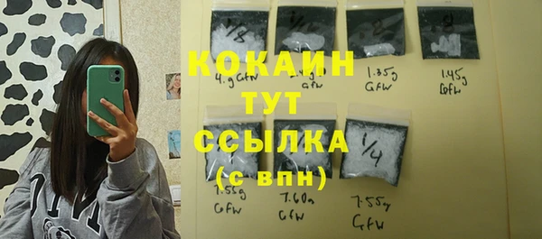 шишки Богородицк