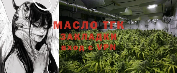 шишки Богородицк