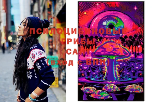 шишки Богородицк