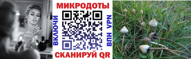 Псилоцибиновые грибы мицелий  где купить   blacksprut зеркало  Неман 